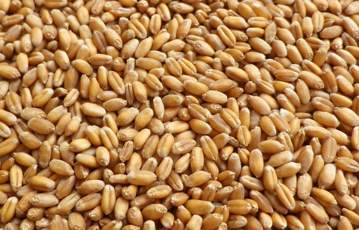 Портрет человека