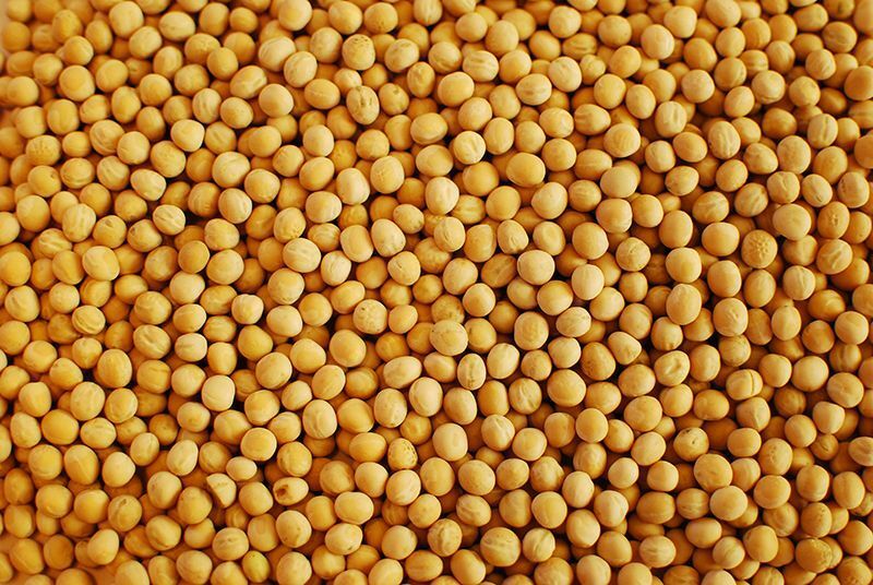 Портрет человека