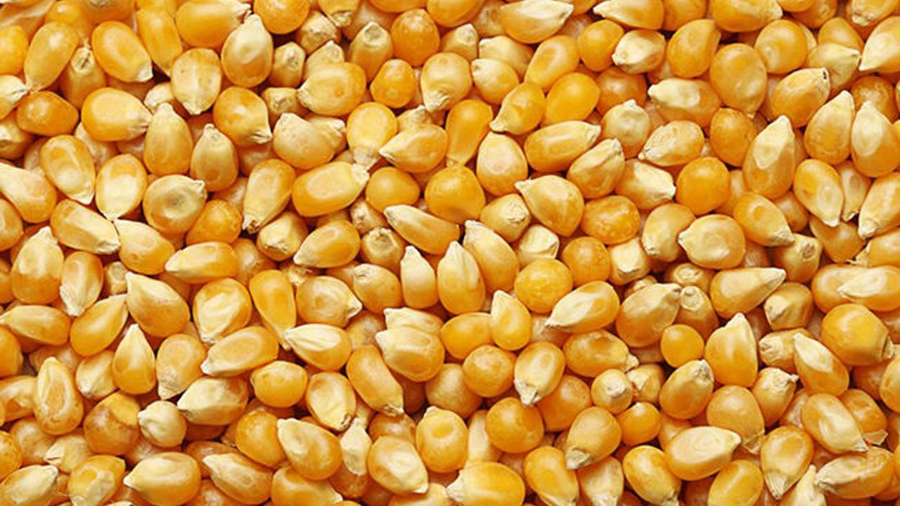 Портрет человека