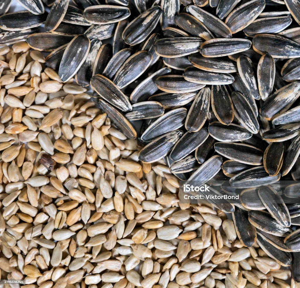 Портрет человека